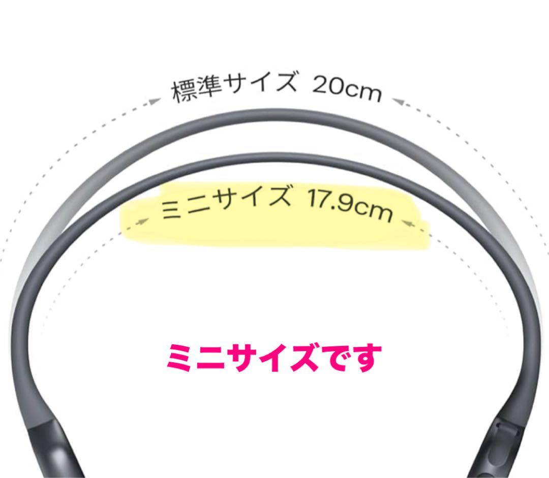 イヤホン SHOKZ OpenRun Pro2 Mini BLACK