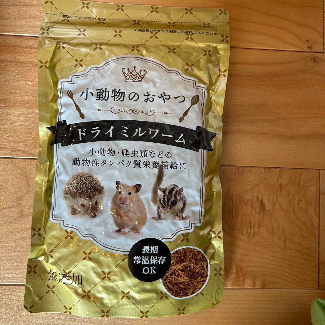 ハリネズミ飼育セット