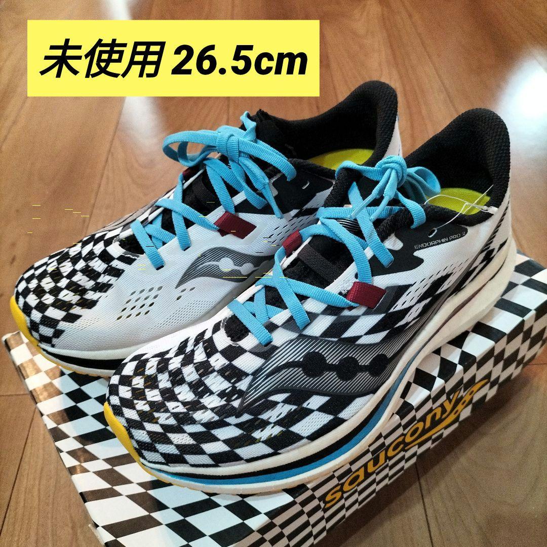 サッカニー エンドルフィンプロ2 Saucony Endorphin PRO2
