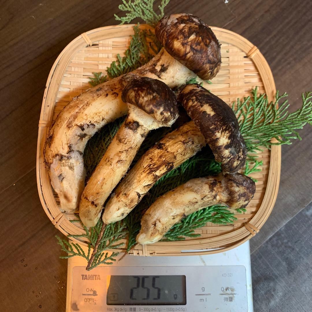 ⑥【岩手県産天然松茸】冷凍松茸　国産本場　つぼみ開き　255g