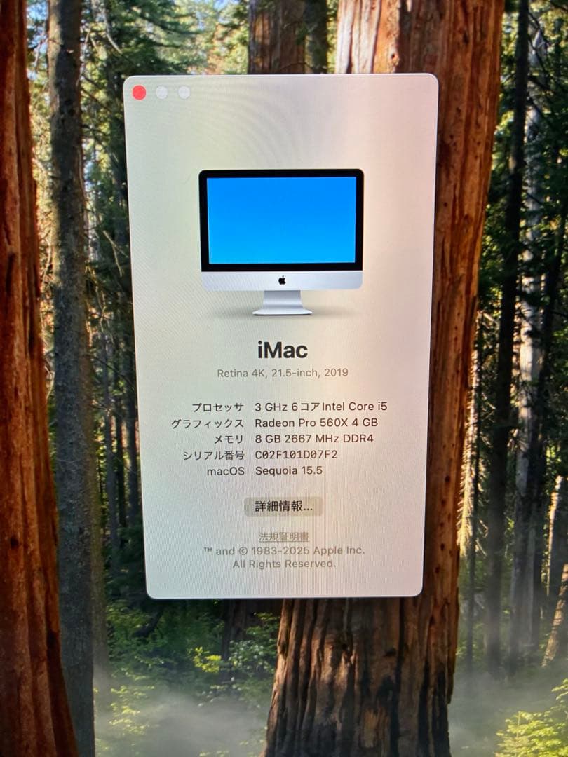 Apple iMac 2019 Retina 4K 21.5インチ