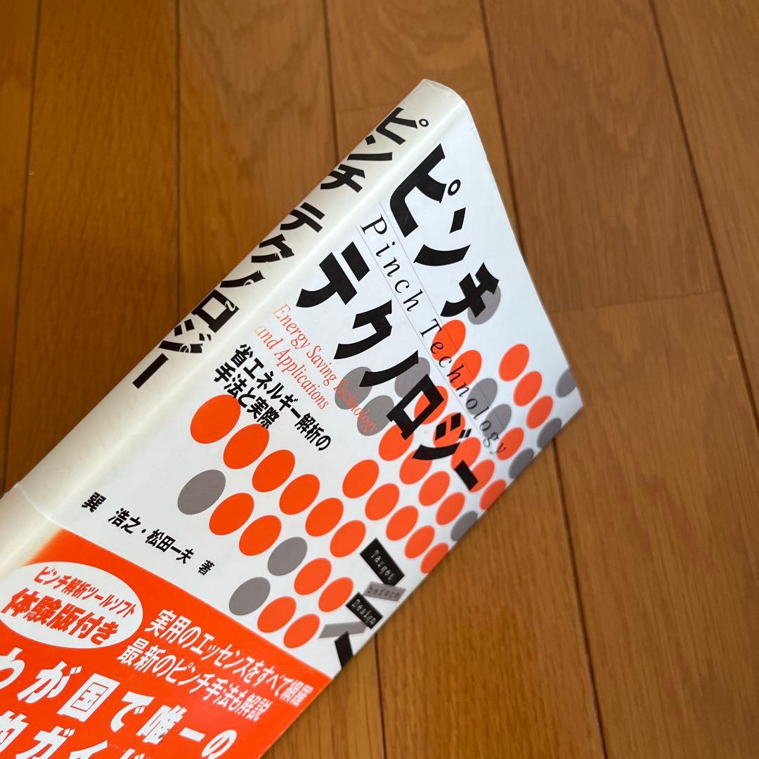 ピンチテクノロジー エネルギー解析の手法と応用