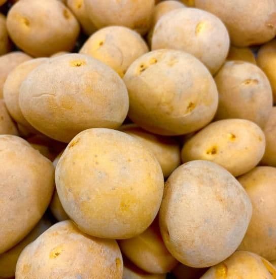 ながさき黄金種芋　10キロ