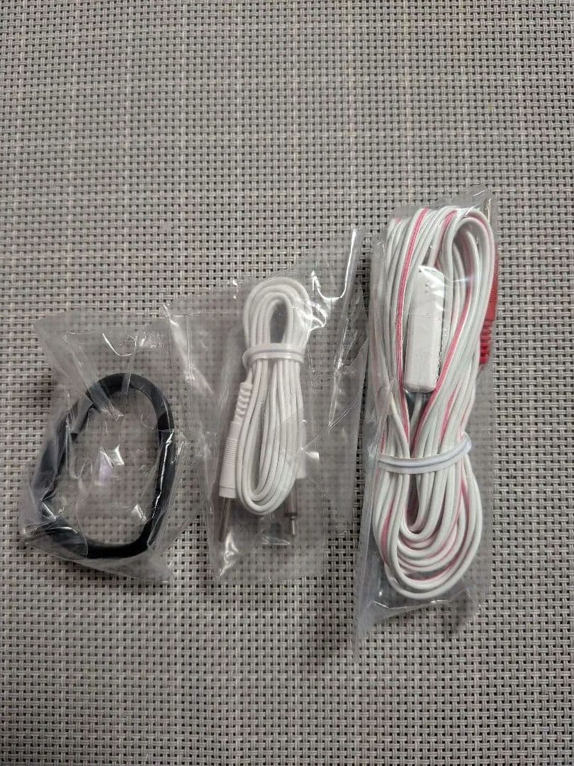 EBM DeepイオナイザーUni（専用ゲルパッド大小・ケーブル・専用ケース付）