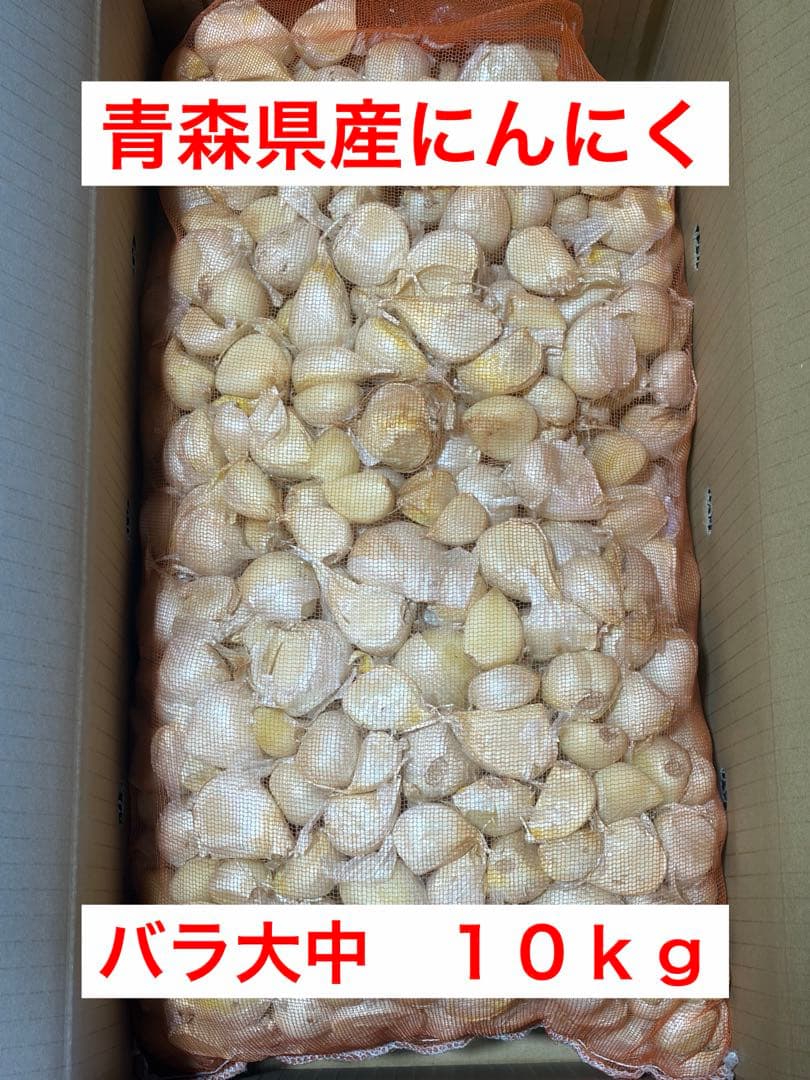 青森県産にんにく　バラ大中　１０ｋｇ