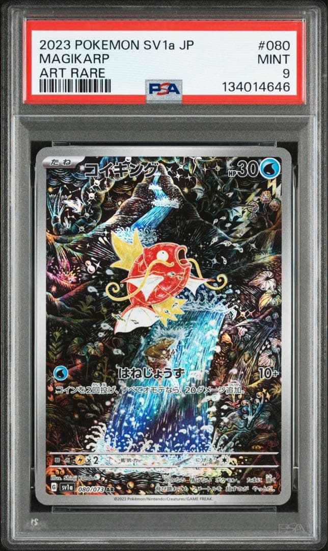 コイキング AR PSA9