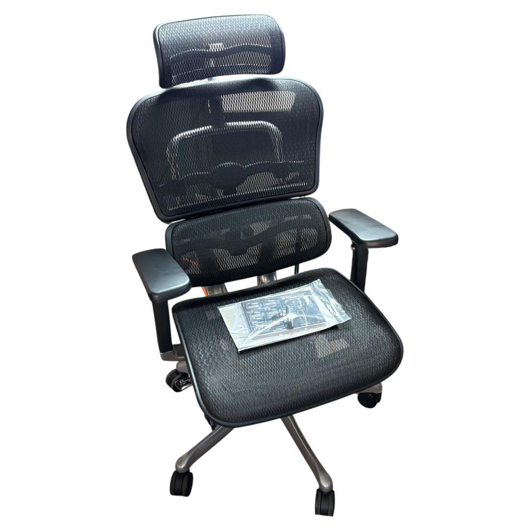 Ergohuman pro エルゴヒューマンプロ 説明書あり ベッドレスト付き