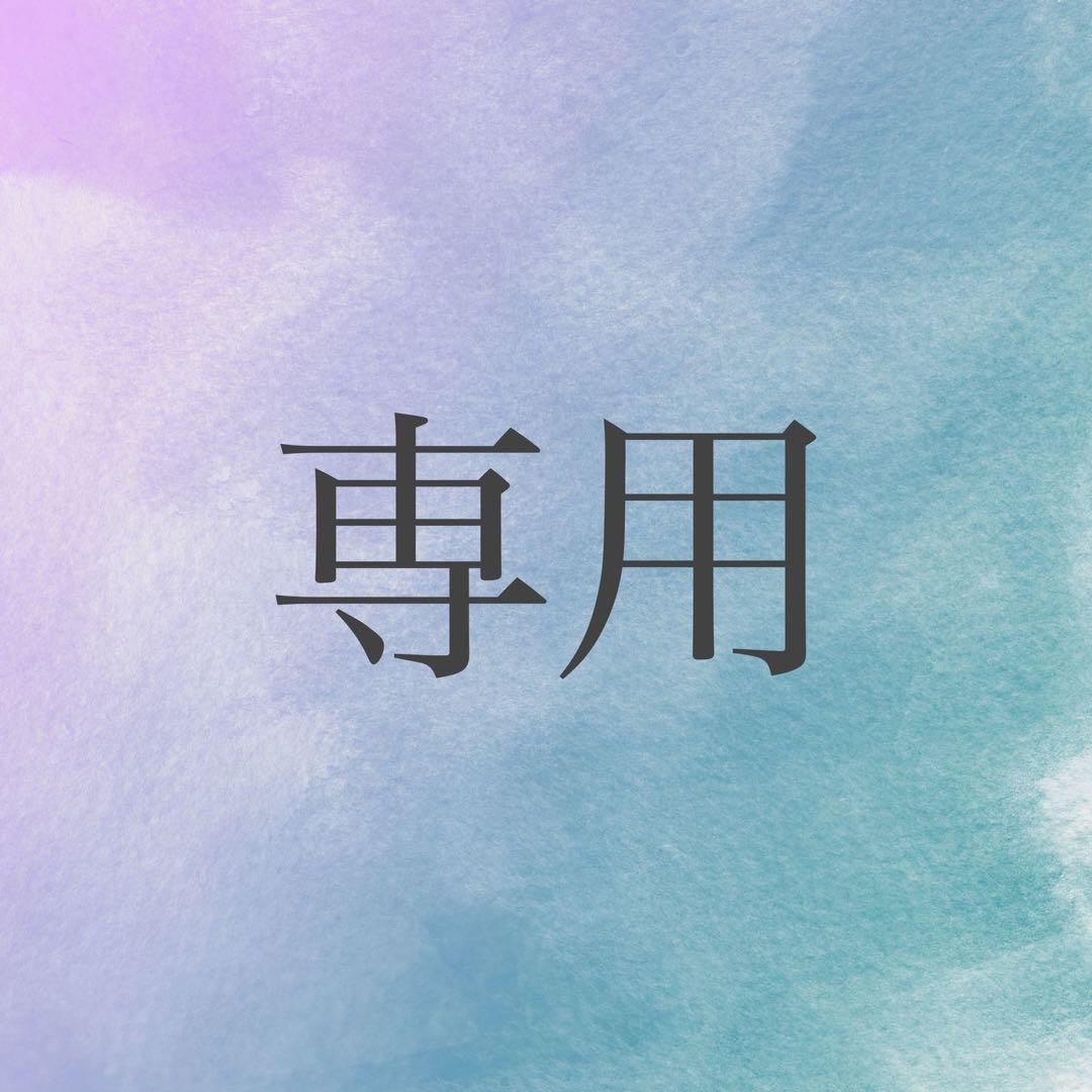 じんぜるさま専用（全種）