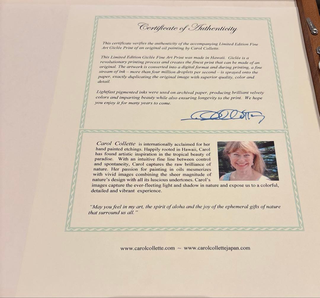 レア☆ キャロル コレット MOANALUA  GARDEN