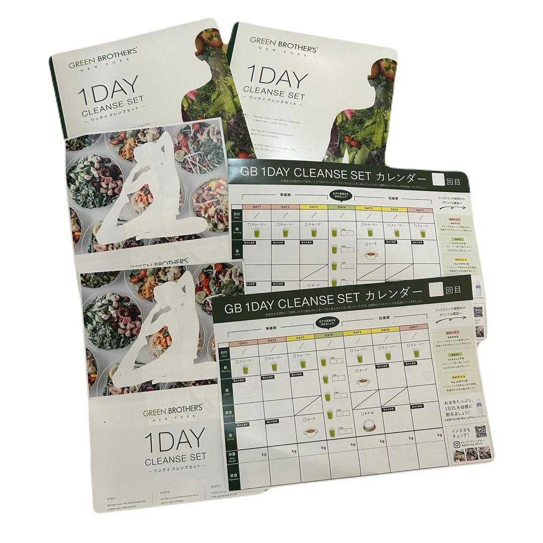 【新品】2セット分 ワンデイクレンズ ファスティング グリーンブラザーズ