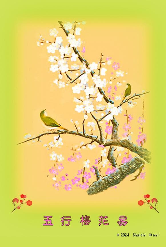 【人気再出品！】梅花心易入門＆五行梅花易カードセット