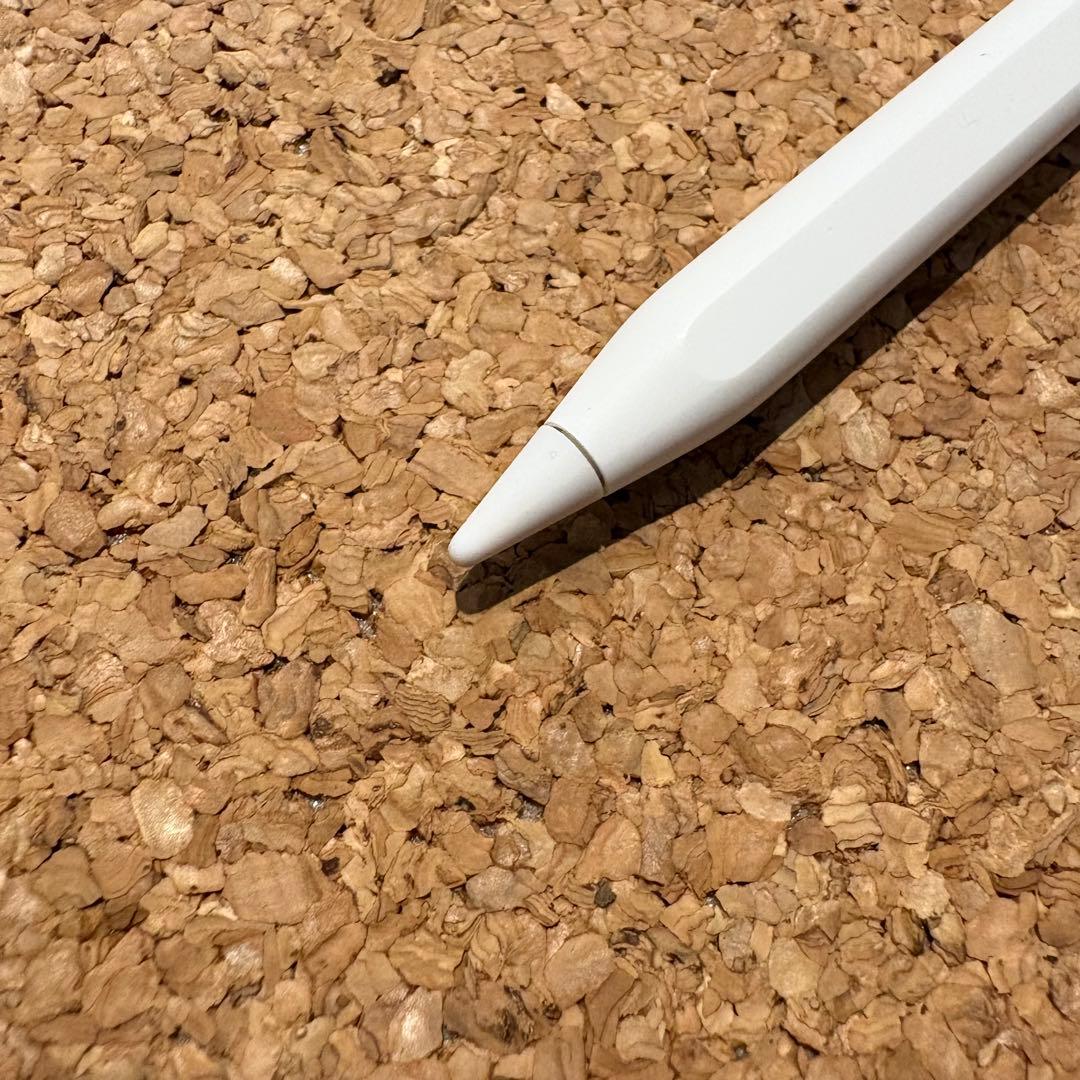 【美品】Apple Pencil USB-C/A3085/アップルペンシル