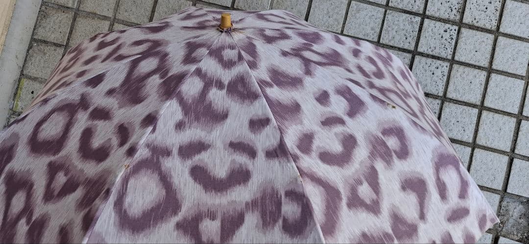 Vivienne Westwood　日傘