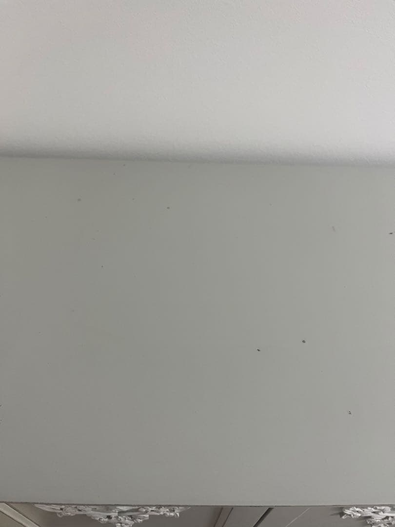 サラグレース　ミミ　ミニワードローブ