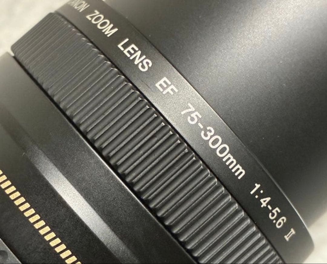 レンズ(ズーム) Canon EF 75-300mm F/4-5.6 II USM