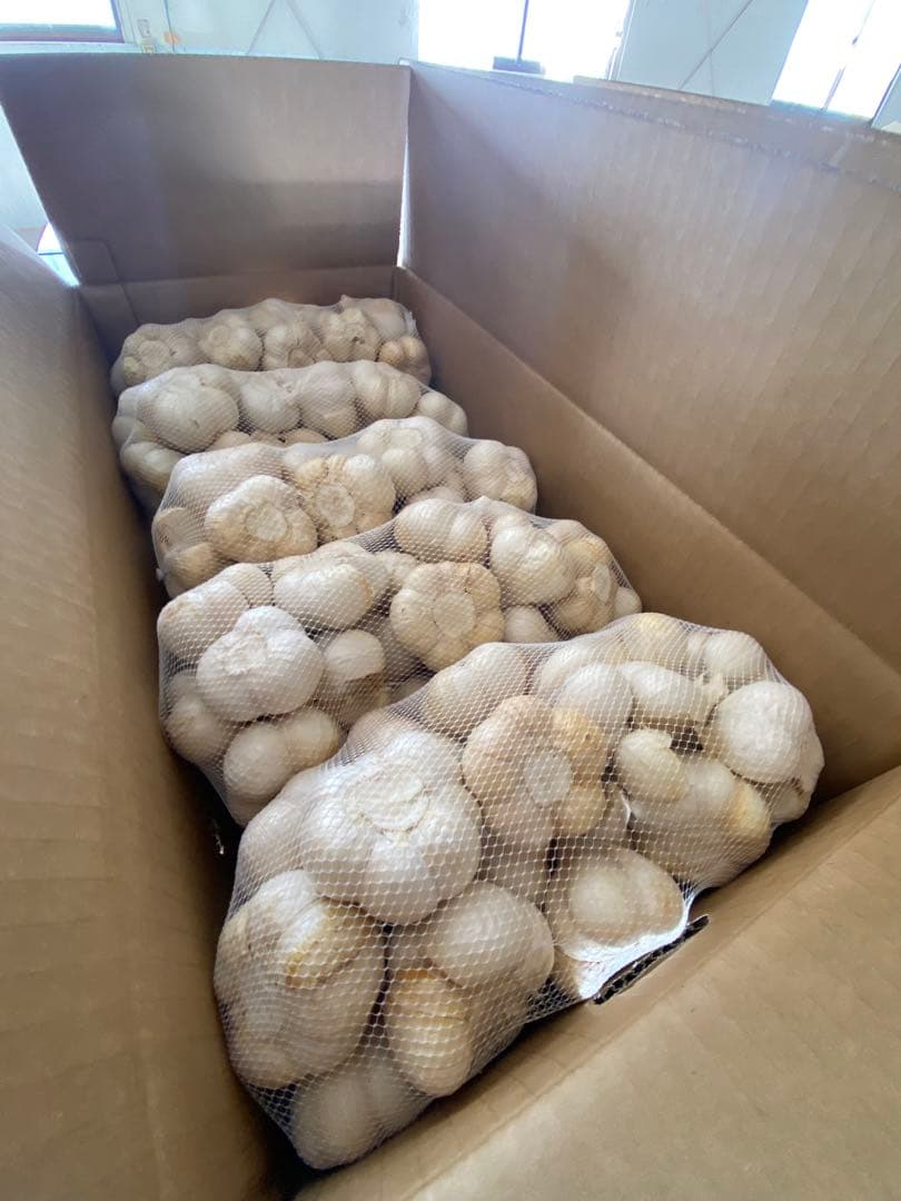 新物　青森県にんにく20キロM