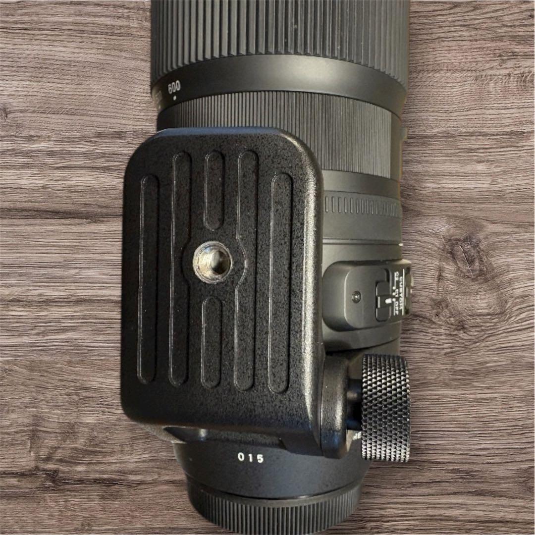 SIGMA 150-600mm F5-6.3 DG Canon EF用