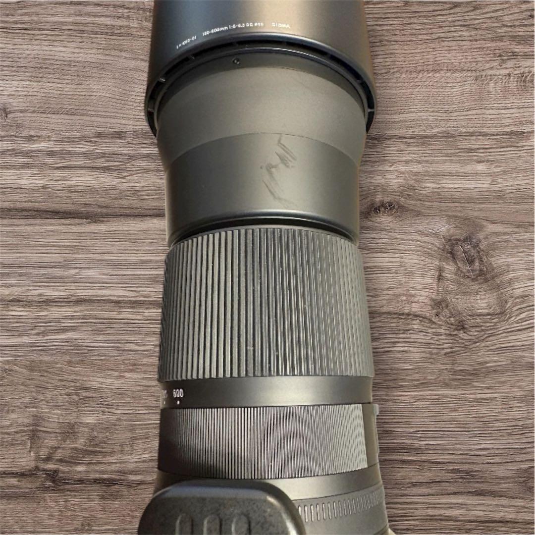 SIGMA 150-600mm F5-6.3 DG Canon EF用