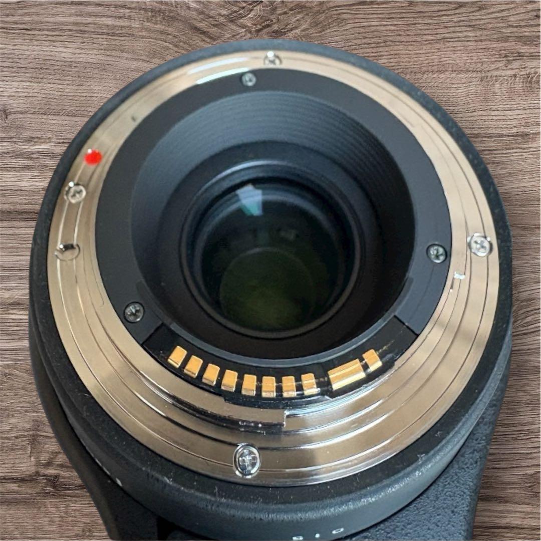 SIGMA 150-600mm F5-6.3 DG Canon EF用