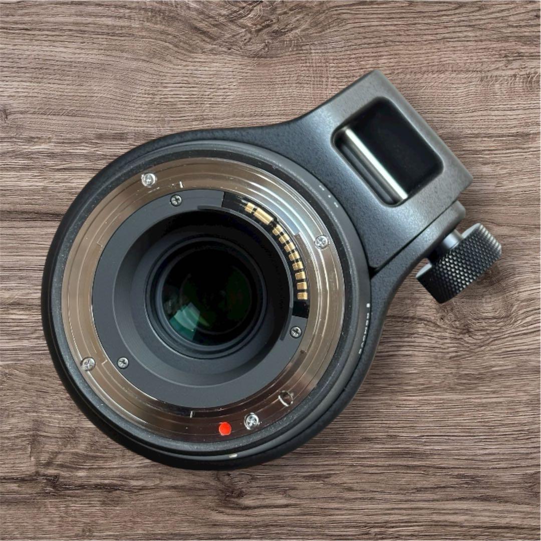 SIGMA 150-600mm F5-6.3 DG Canon EF用