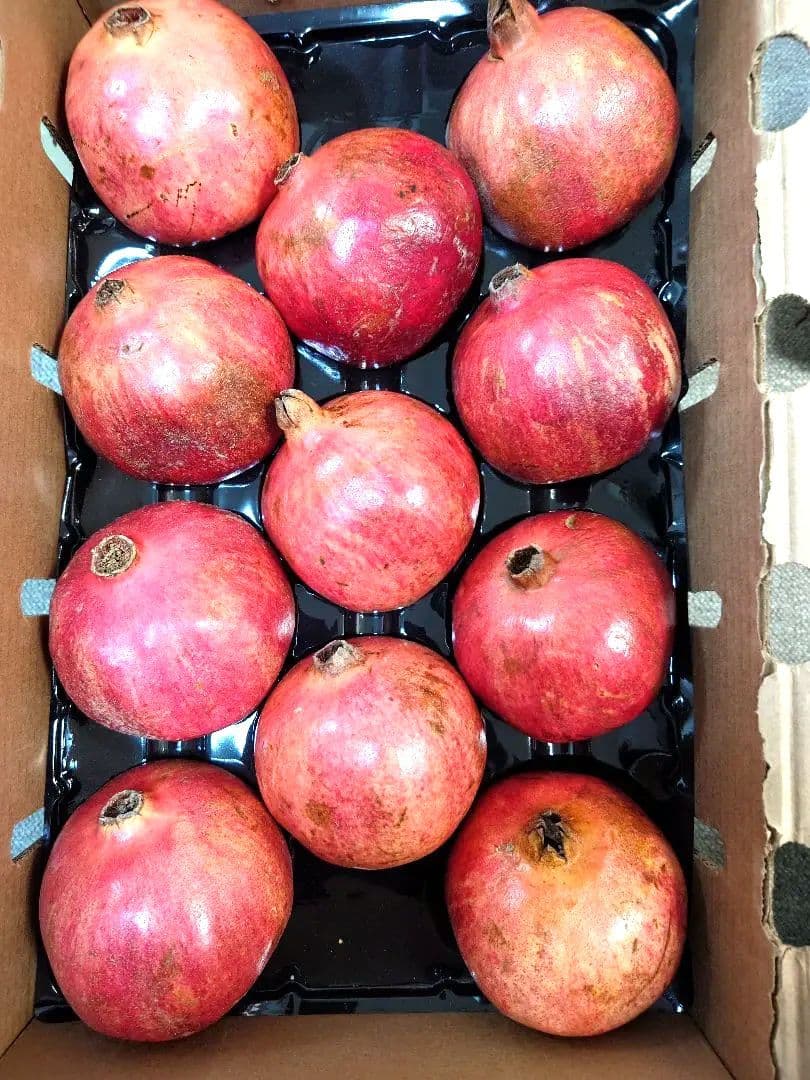 どーん　特大フレッシュザクロ11玉　5000gあっぷ