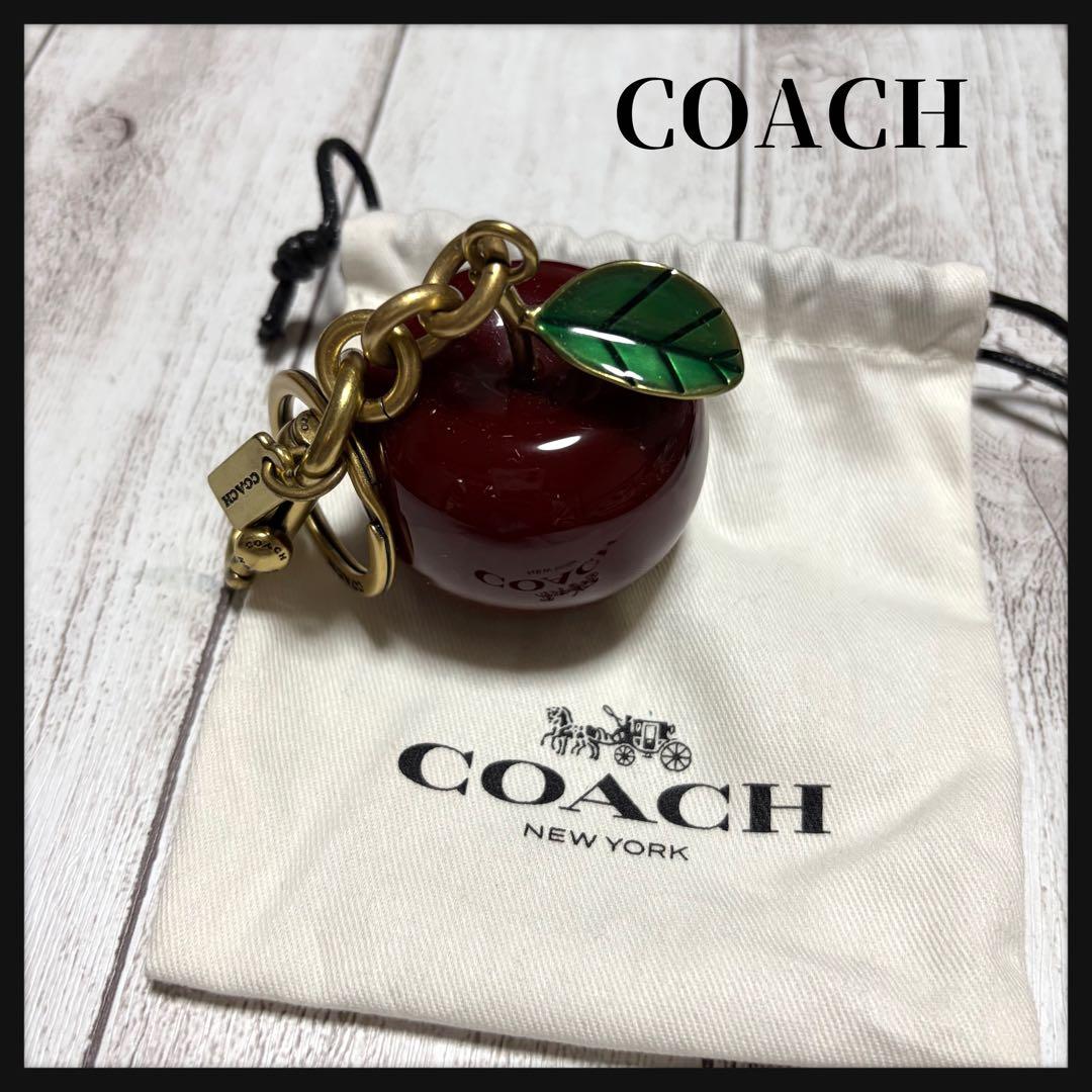 【専用】COACH コーチ スモール アップル バッグチャーム キーホルダー