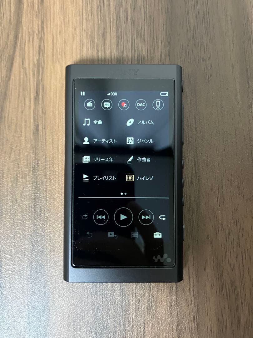 Sony NW-A55 + IER-NW500N セット