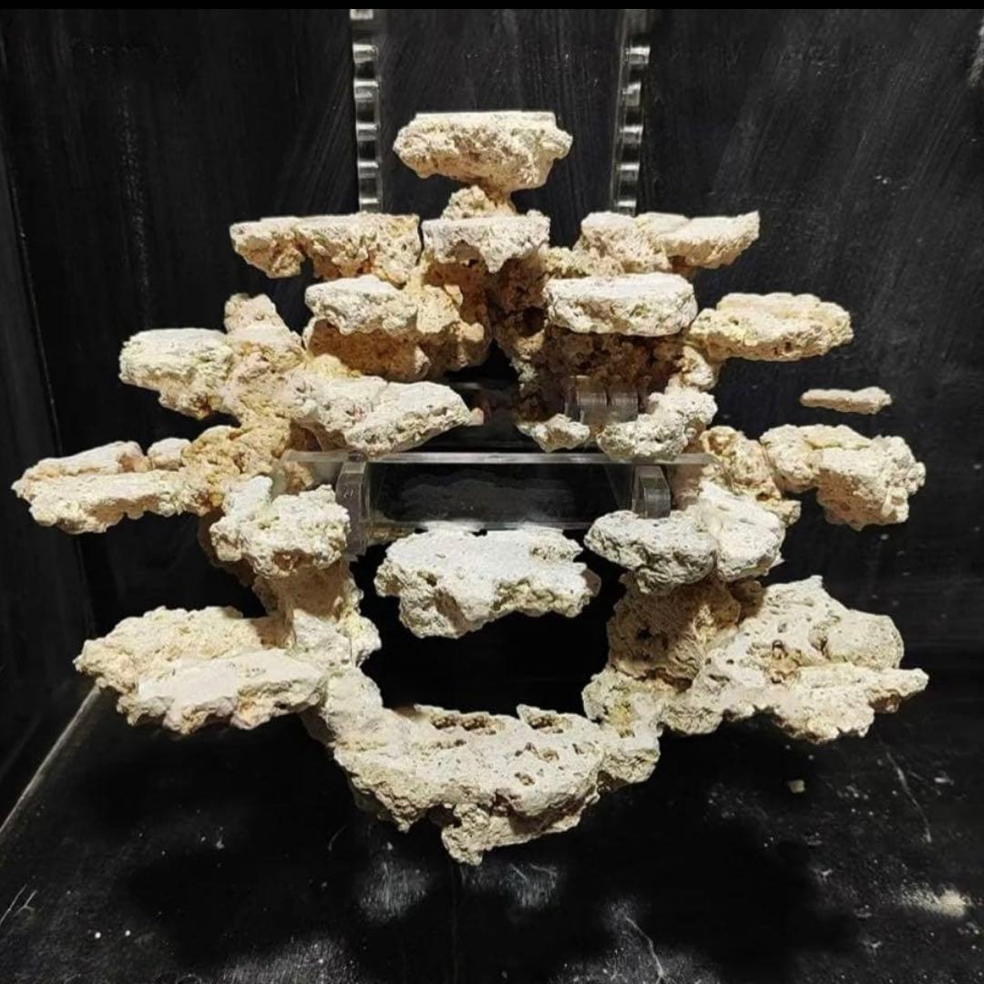 釣り上げ人工ライブロック　5kg