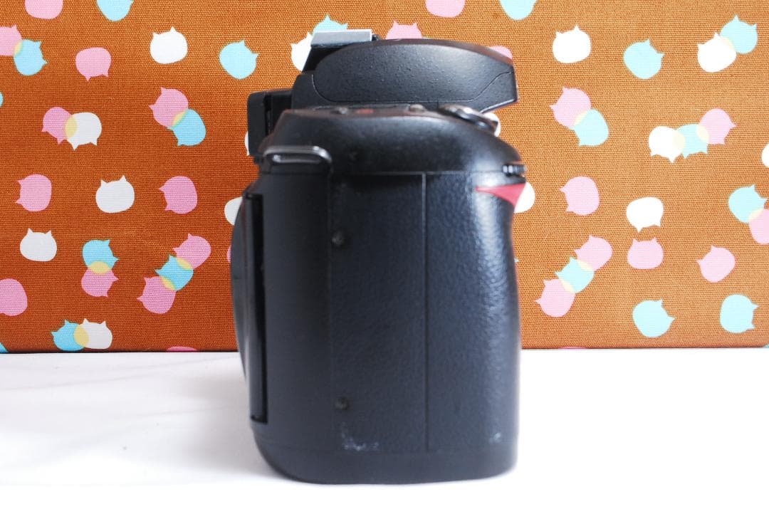 ✨ショット回数3742回✨お買い得✨Nikon D70 レンズセット