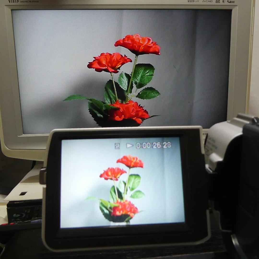 動作品 ソニーDCR-TRV107 MiniDV ビデオカメラ DVDダビングに