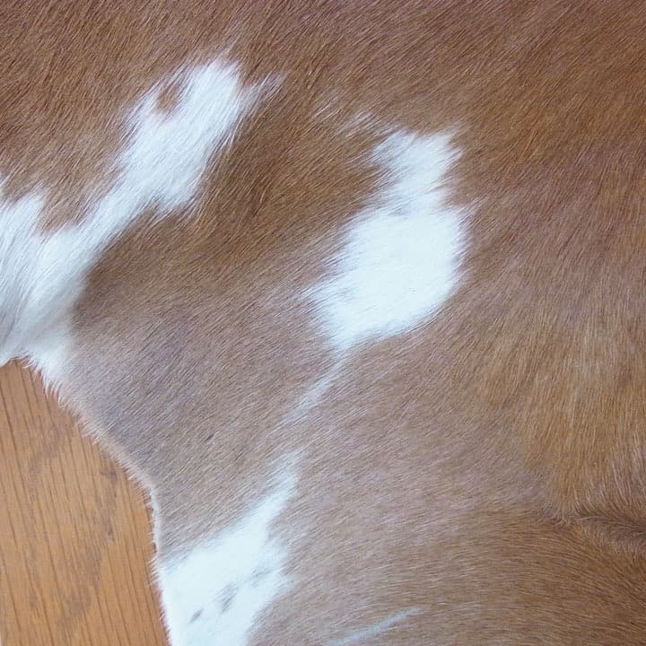 カウラグ 牛革 天然 レザー マット カーペット ラグマット