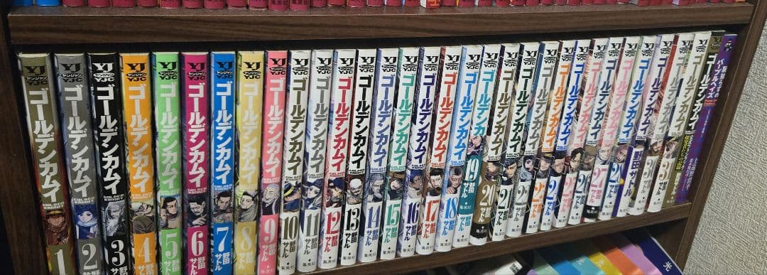 ゴールデンカムイ 全巻セット　ファンブック込み