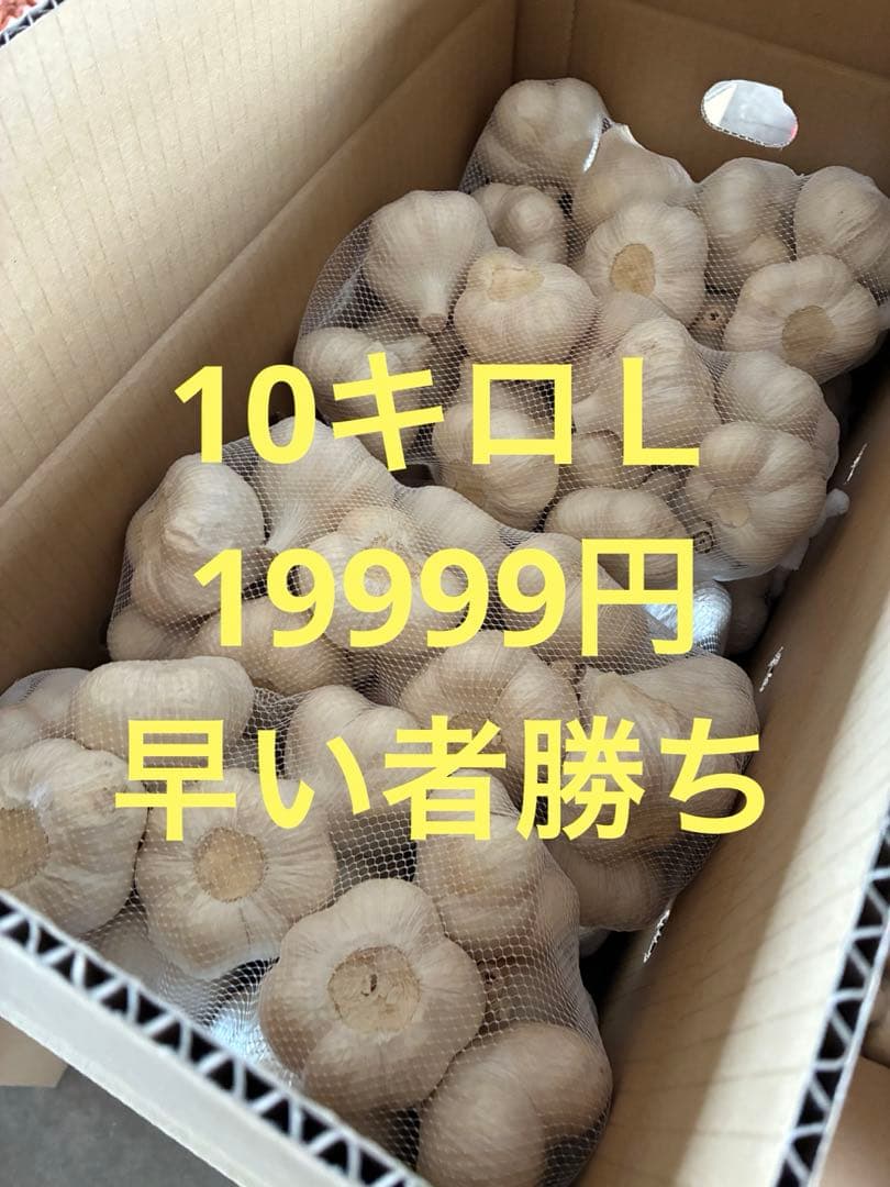 新物　青森県にんにく10Kg Ｌ　お得