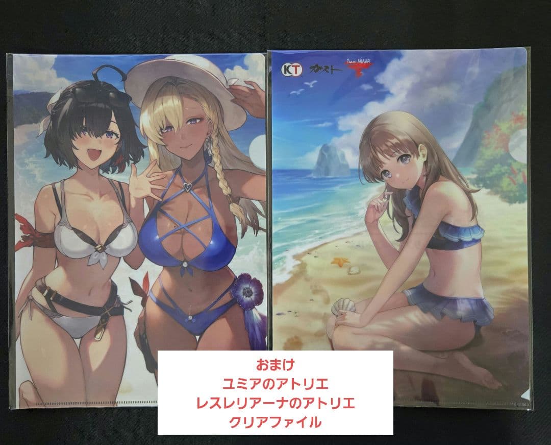 Switch ソフト ライザのアトリエDX 秘密トリロジー プレミアムボックス