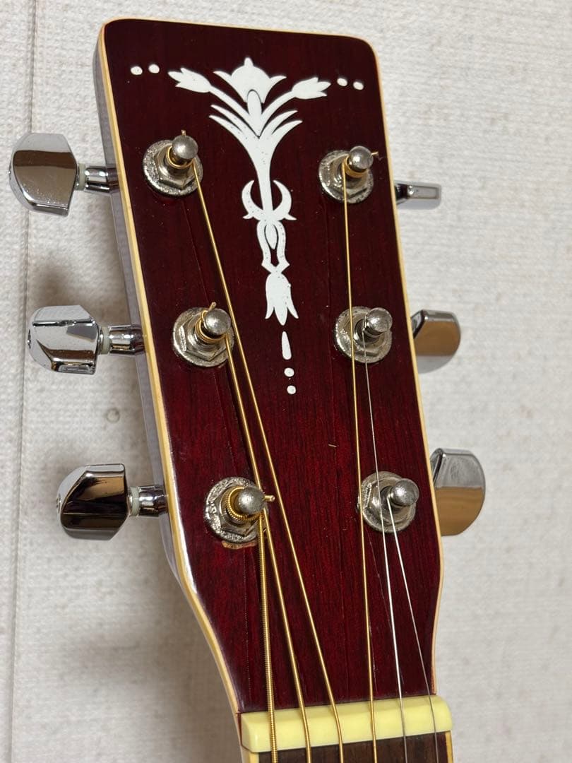 専用！美品！初心者、女性の方、学生さんに最適！！ARIA アリアADF250RD