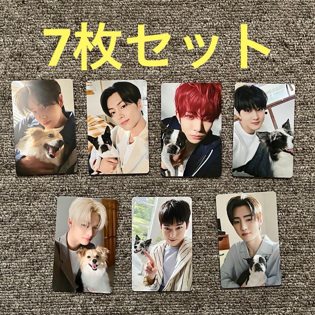 ENHYPEN アンケートトレカ FC コンプリート コンプ エナプ