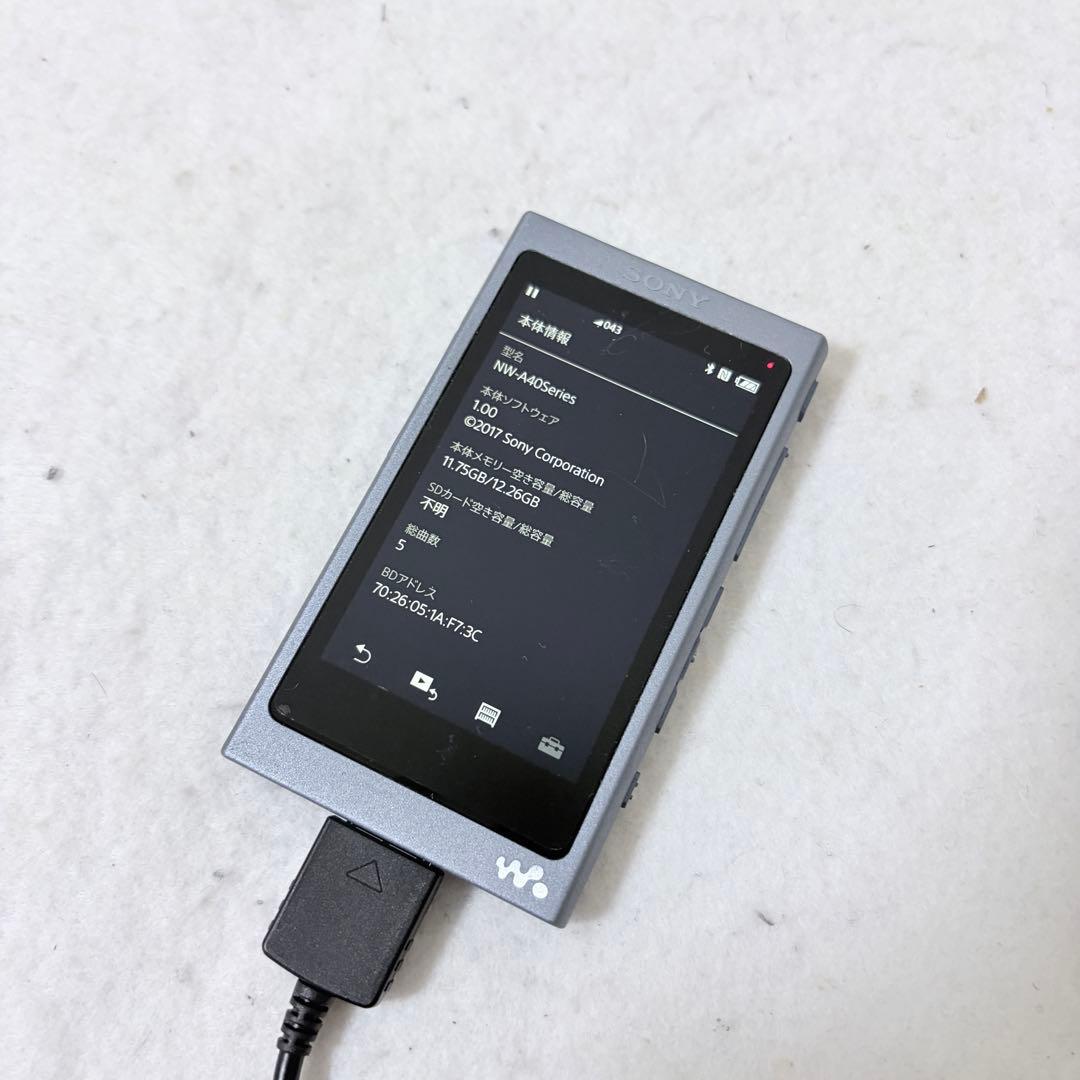 SONY WALKMAN NW-A45 16GB ハイレゾ HI-RES