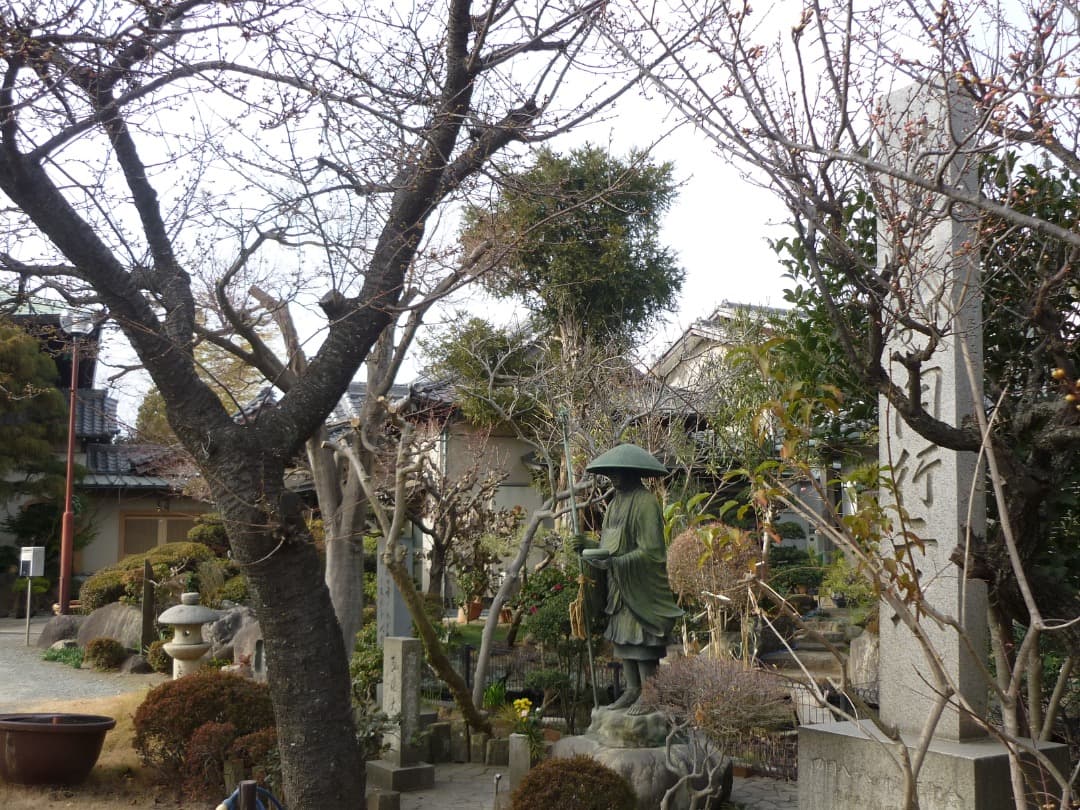 追加あり⭕️【動作確認済み】Panasonic LUMIX DMC-FS6 ピンク