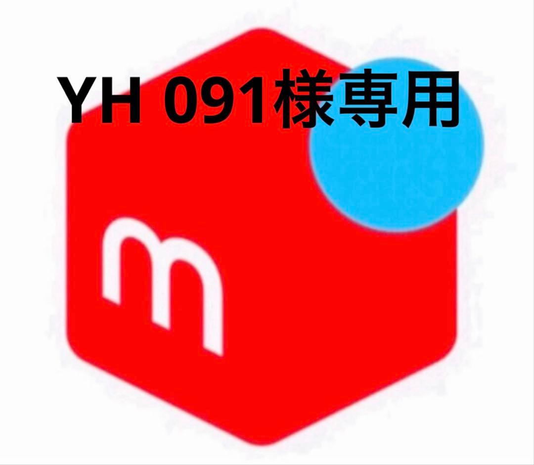 その他 YH 091