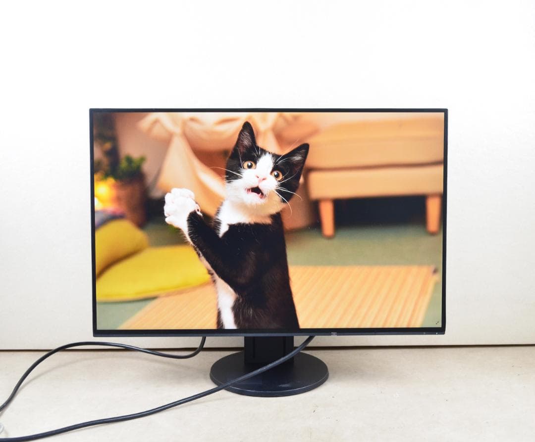 6349　超狭額　EIZO　EV2456　24型　WUXGA　HDMI　IPS