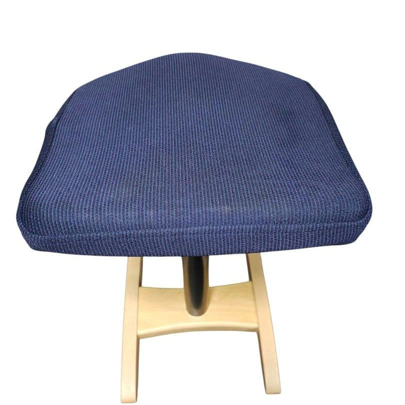 Balans Synergy バランス シナジー スクエアシート 専用カバー付