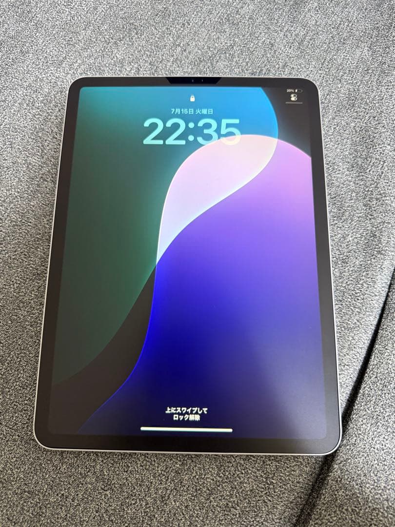 NekoiPad Pro 11inch 第2世代　256GB