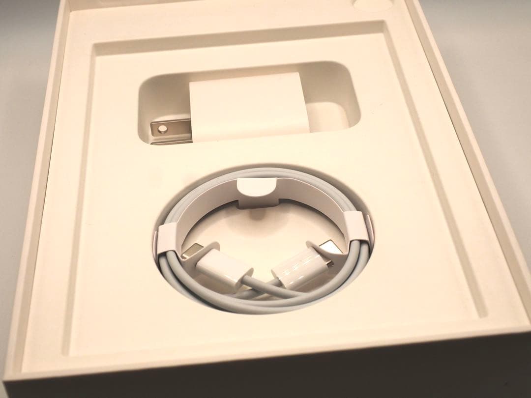 美品iPad mini 6 64GB WiFiモデル　本体