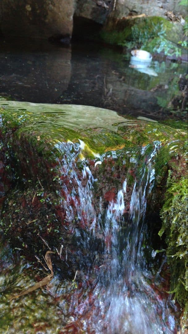 限定 標高600m一番湧水で育った農薬不使用 玄米2025年大分県産直送30kg