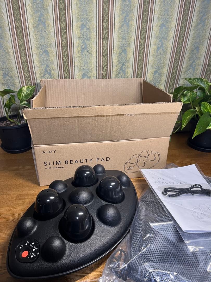 Qちゃん様用　スリムビューティーパッド　エイミー　ディノス