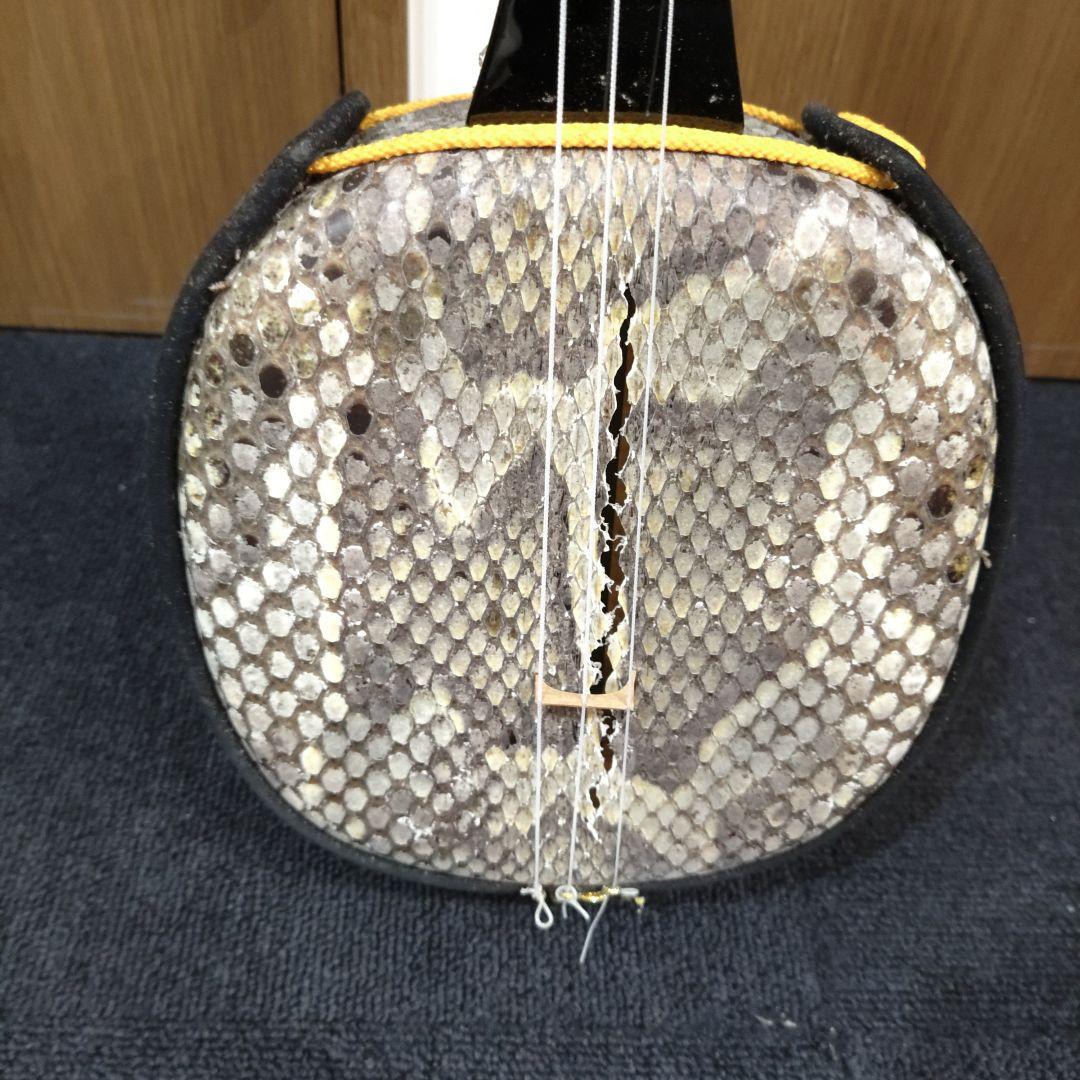 VMPD7-1014-6 ヘビ皮三線 本体 和楽器