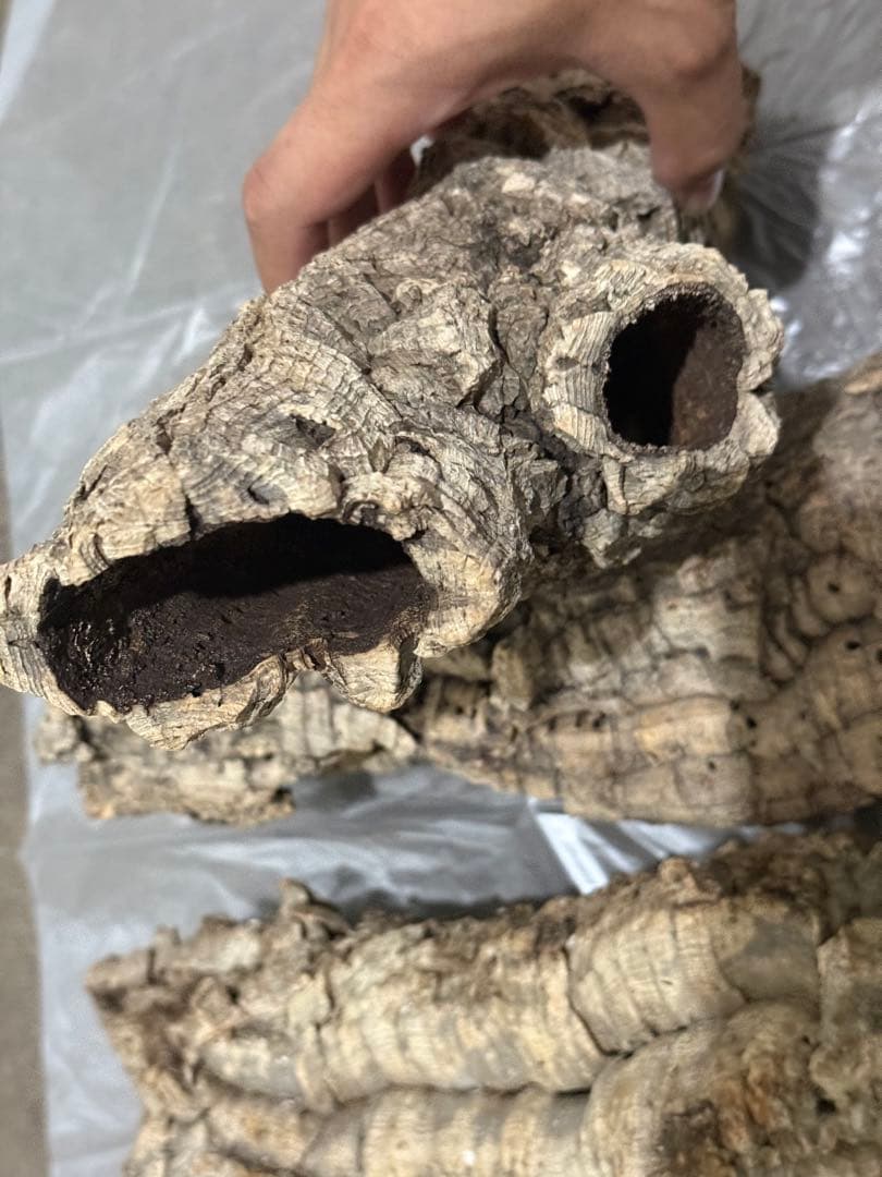 筒コルク6個セット