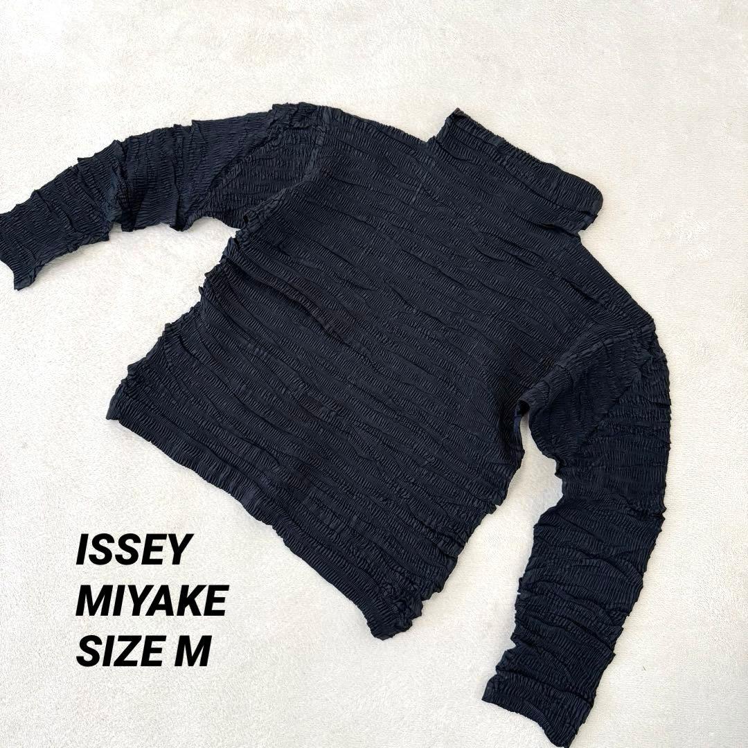 極美品✨ISSEY MIYAKE 立体プリーツ　ブラック　長袖　トップス