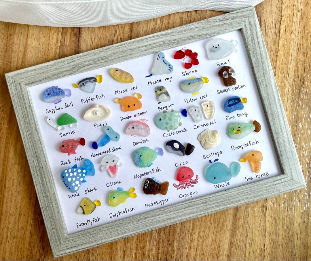 シーグラスアート☆No.391 図鑑　海の生き物　ギフト　プレゼント インテリア