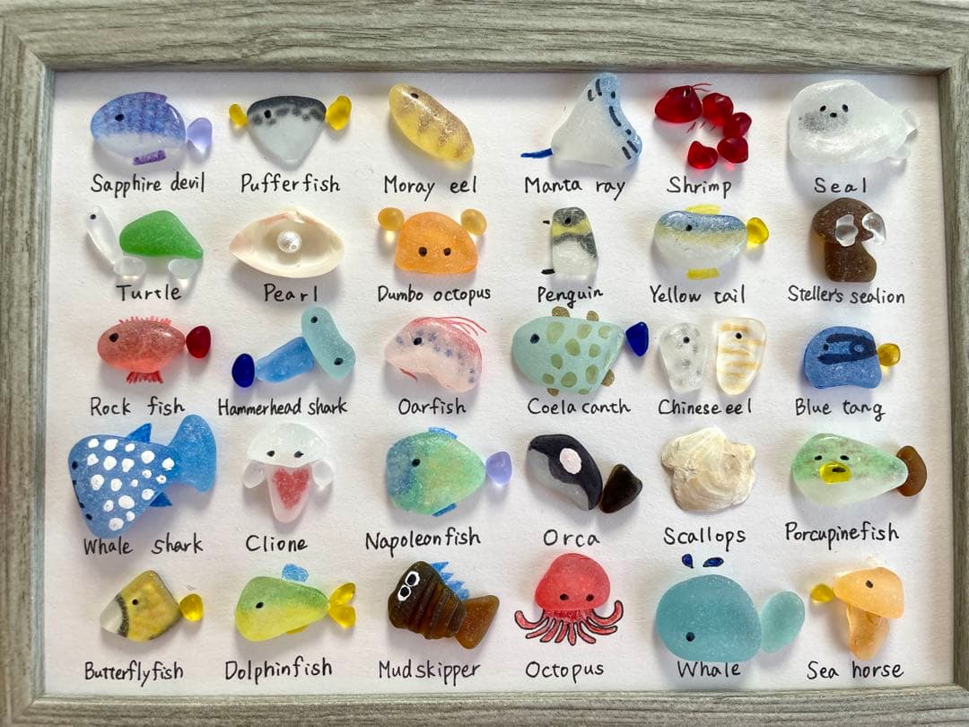 シーグラスアート☆No.391 図鑑　海の生き物　ギフト　プレゼント インテリア
